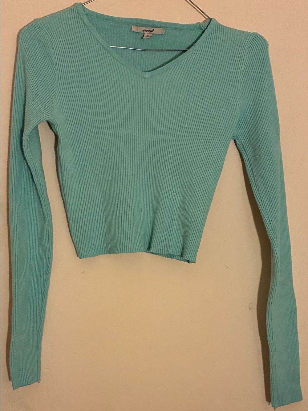 Papaya Aqua Ribbed V-Neck Cropped Long Sleeve Top